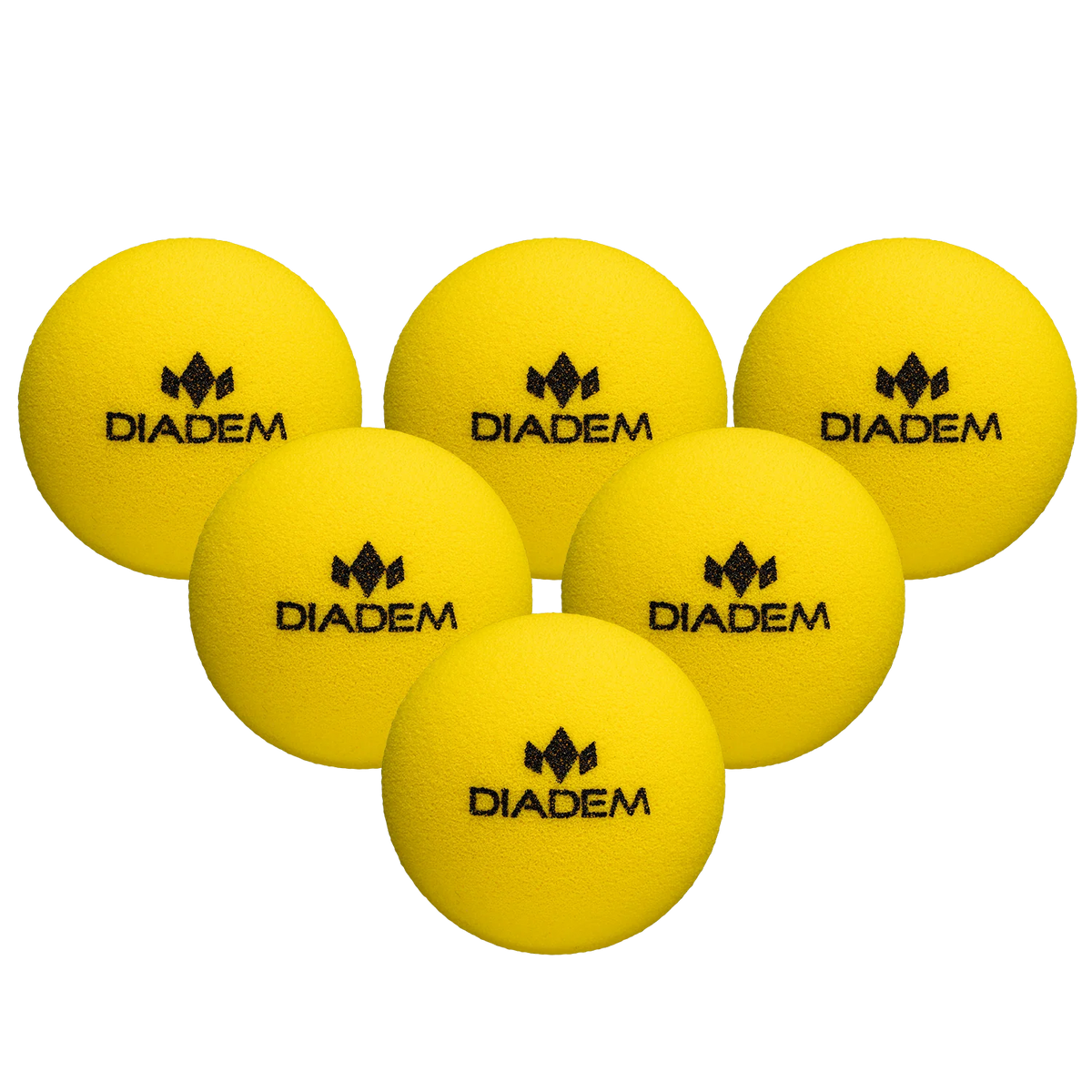 THE OFFICIAL QUIET PICKELBALL